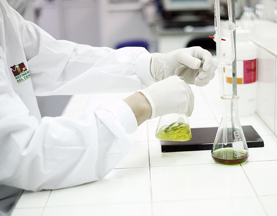 Fis_Imagen_db (2).jpg