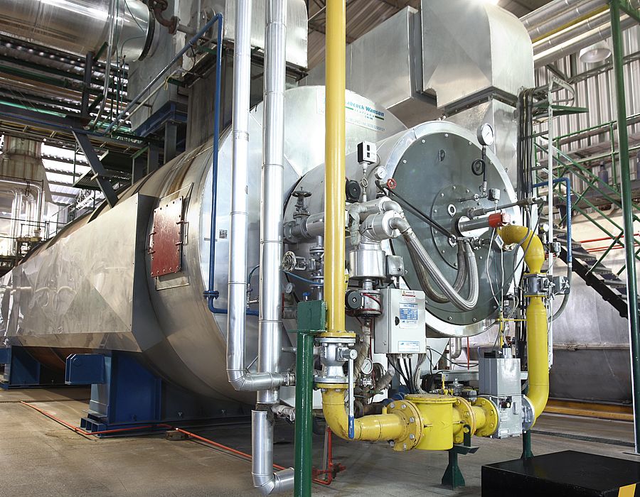 Fis_Imagen_db (1).jpg