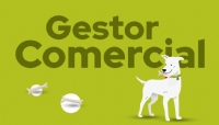 Gestor Comercial