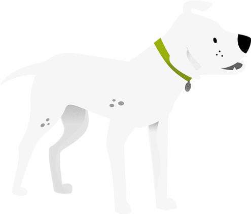  Perrito
