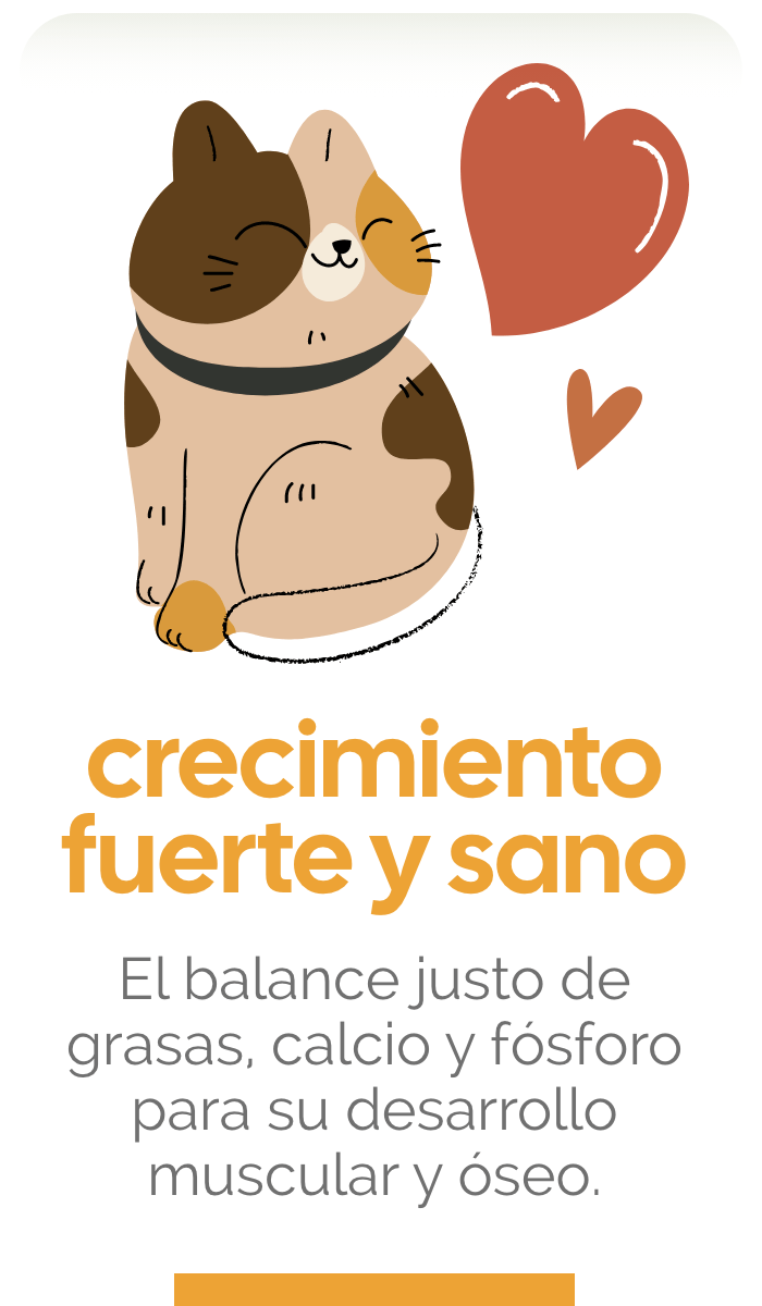 CRECIMIENTO FUERTE Y SANO