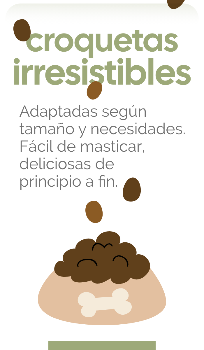 CROQUETAS IRRESISTIBLES