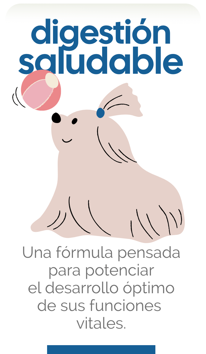 DIGESTIÓN SALUDABLE