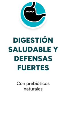 DIGESTIÓN SALUDABLE Y DEFENSAS FUERTES
