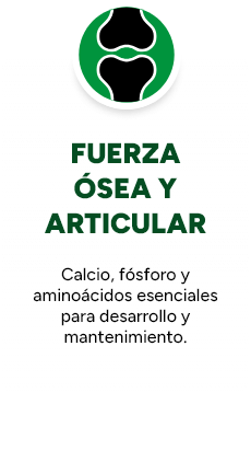 FUERZA ÓSEA Y ARTICULAR