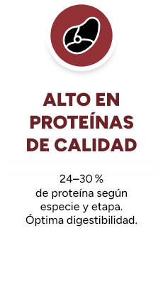 ALTO EN PROTEÍNAS DE CALIDAD