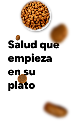 Salud que empieza en su plato