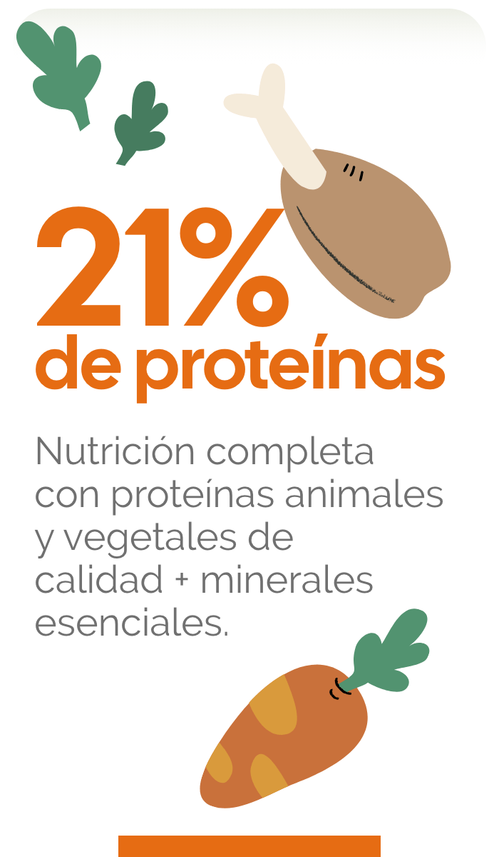 21% DE PROTEÍNAS