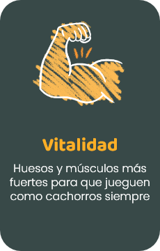  Vitalidad - Huesos y músculos más fuertes para que jueguen como cachorros siempre 
