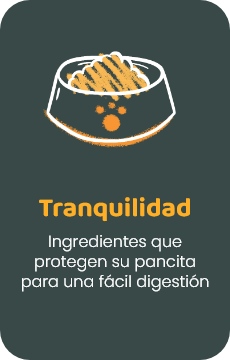 Tranquilidad - Ingredientes que protegen su pancita para una fácil digestión