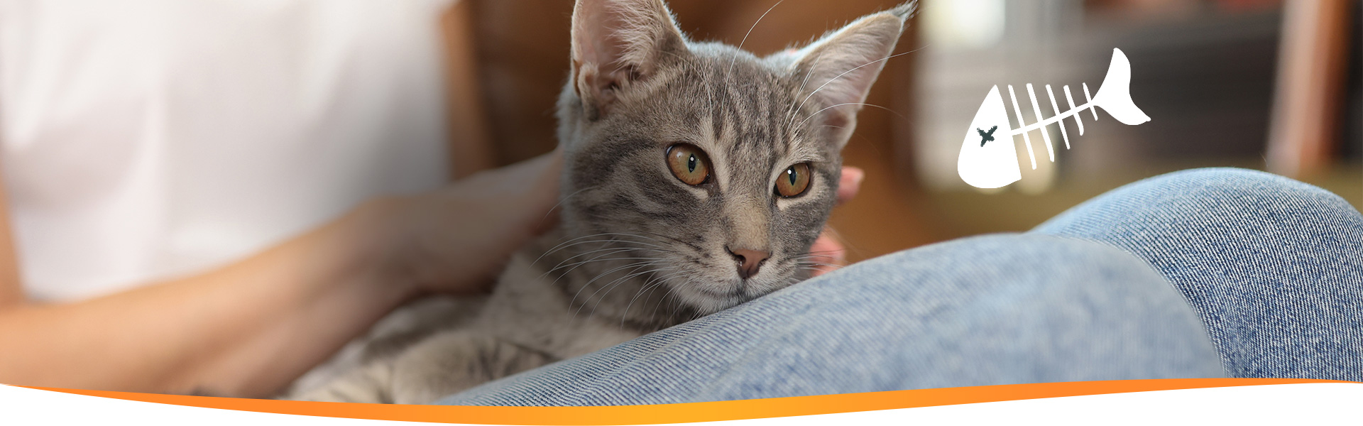 Ellos mejoran tu vida. Vos podés mejorar la de ellos.