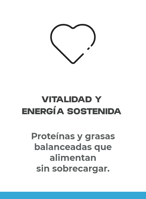 Vitalidad y energía sostenida