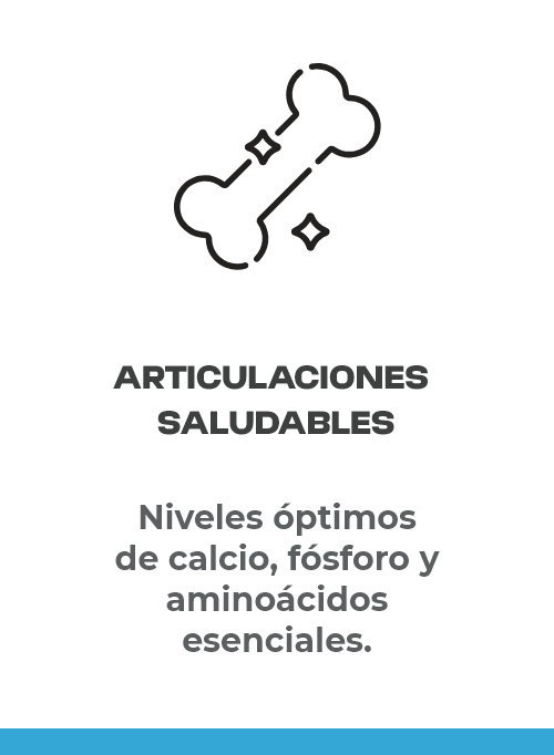 Articulaciones saludables y movilidad plena