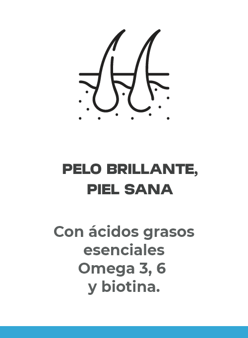 Pelo brillante, piel sana