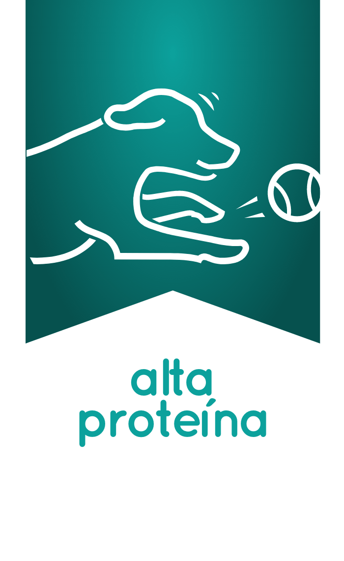 ALTA PROTEÍNA