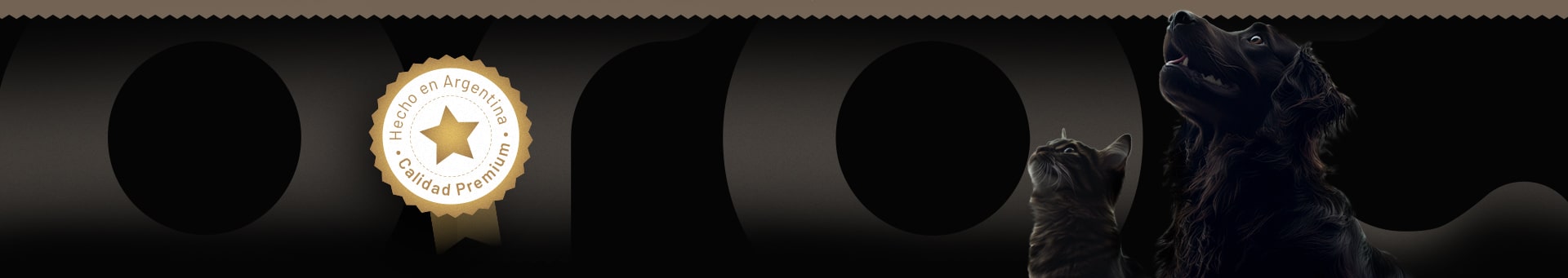 Descubrí toda la línea PROT