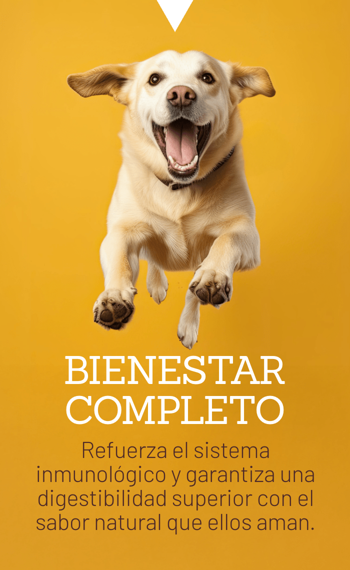 BIENESTAR COMPLETO