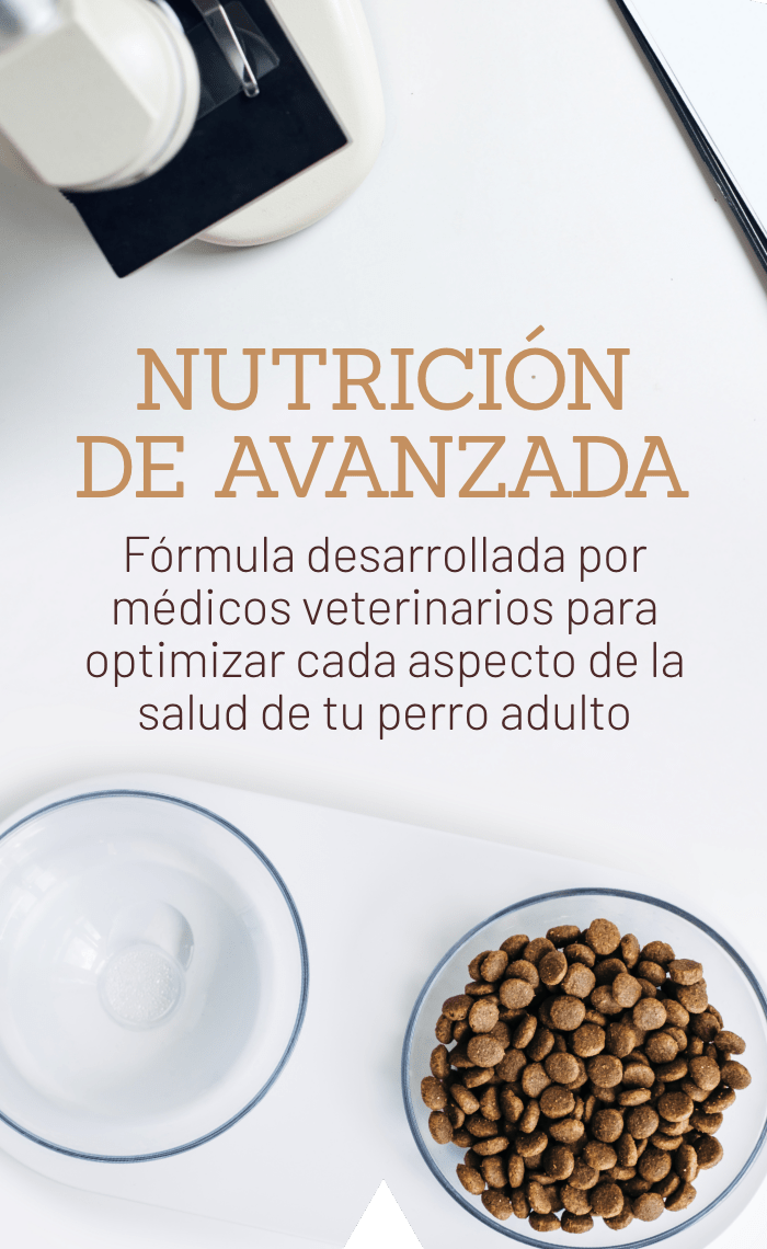 NUTRICION DE AVANZADA