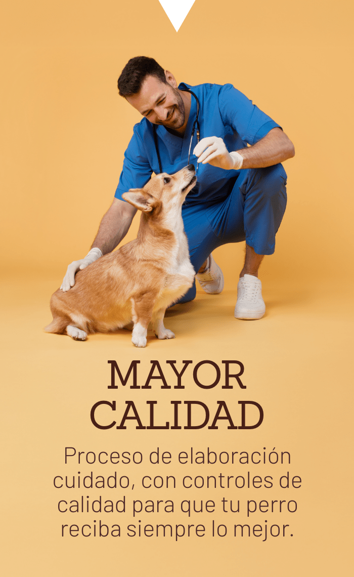 MAYOR CALIDAD