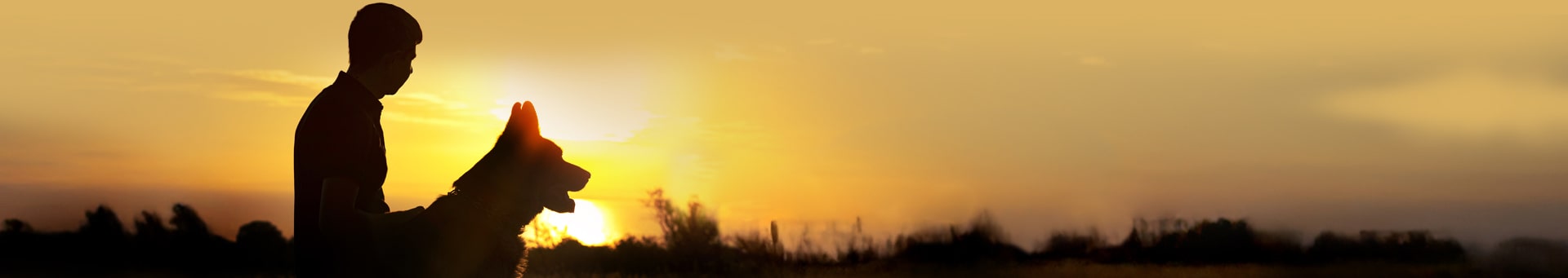 Un alimento superior