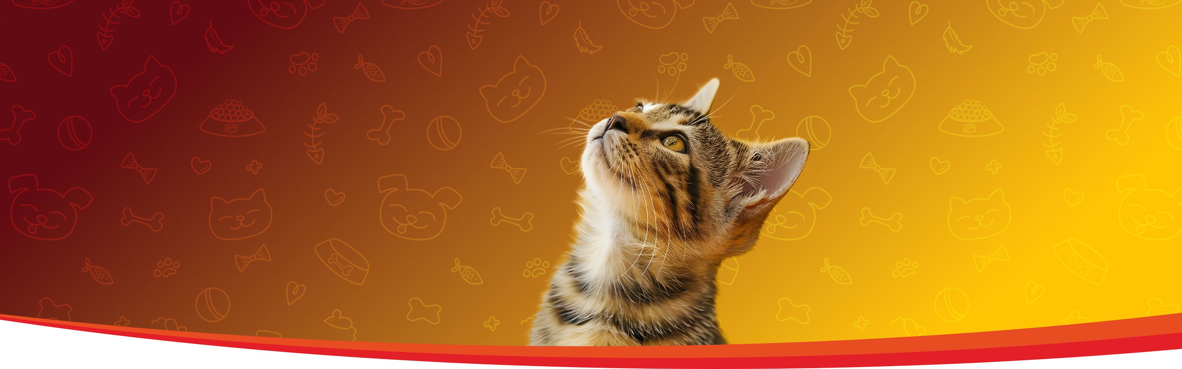 Nutrición completa, al precio justo