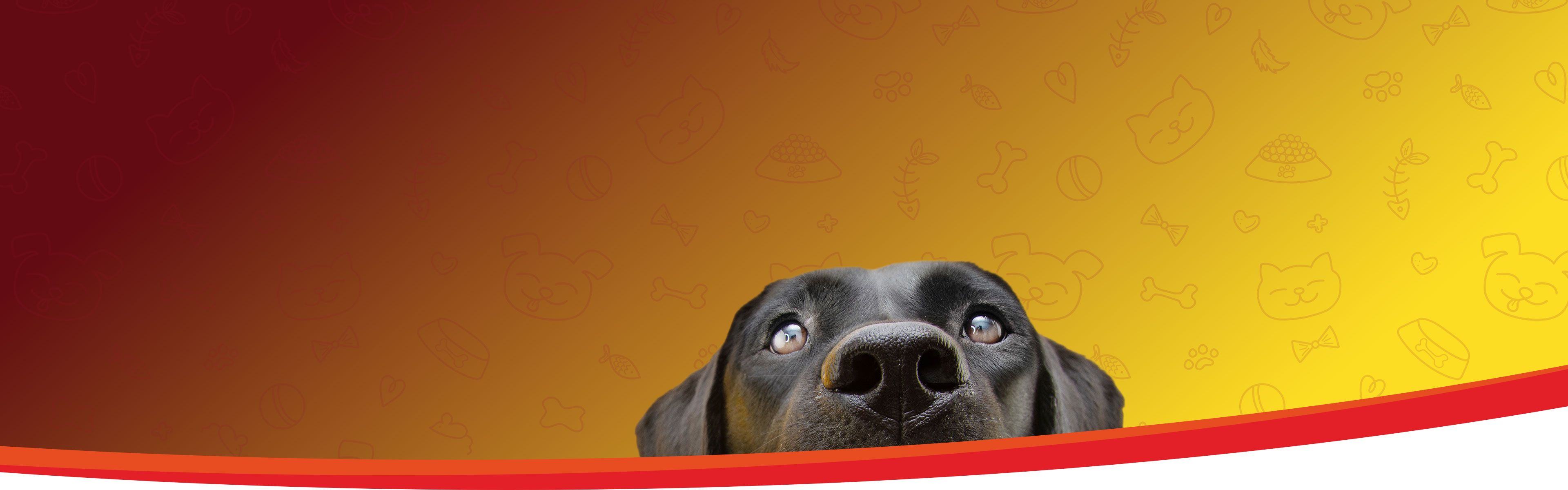 El balance perfecto entre sabor y salud