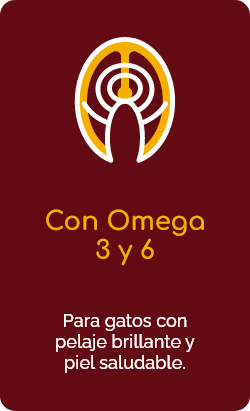 Con Omega  3 y 6