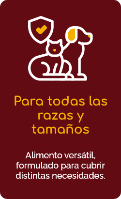 Para todas las razas y tamaños