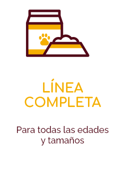 LÍNEA  COMPLETA