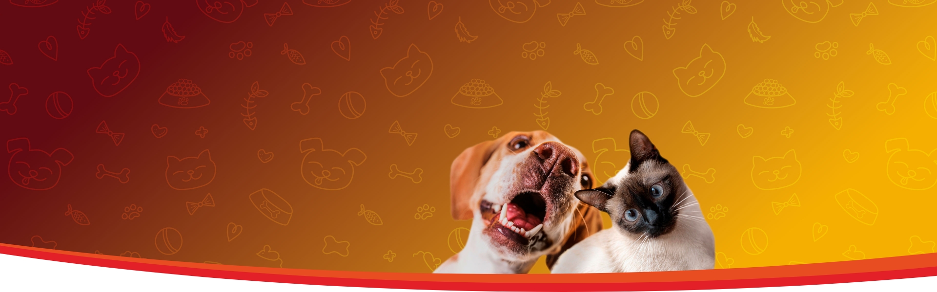 Sano, rico y accesible