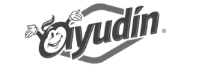  Ayudin