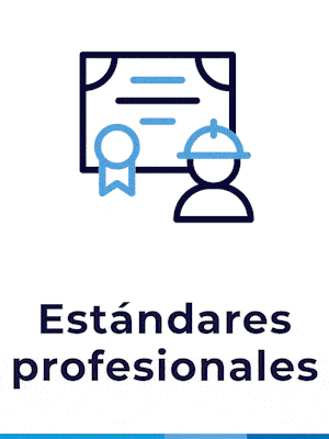 Estándares profesionales