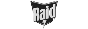  Raid