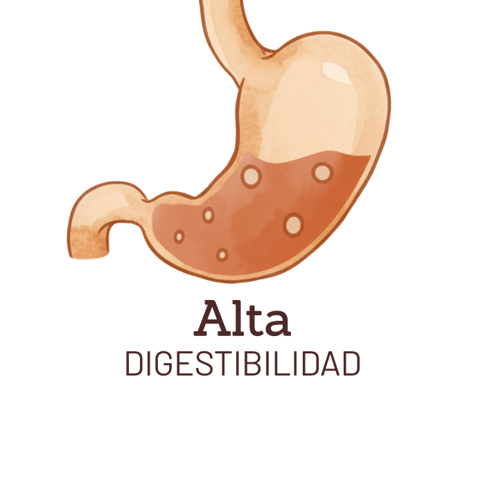 Alta digestibilidad