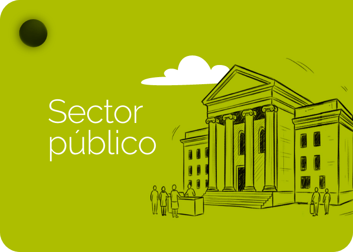 sector publico