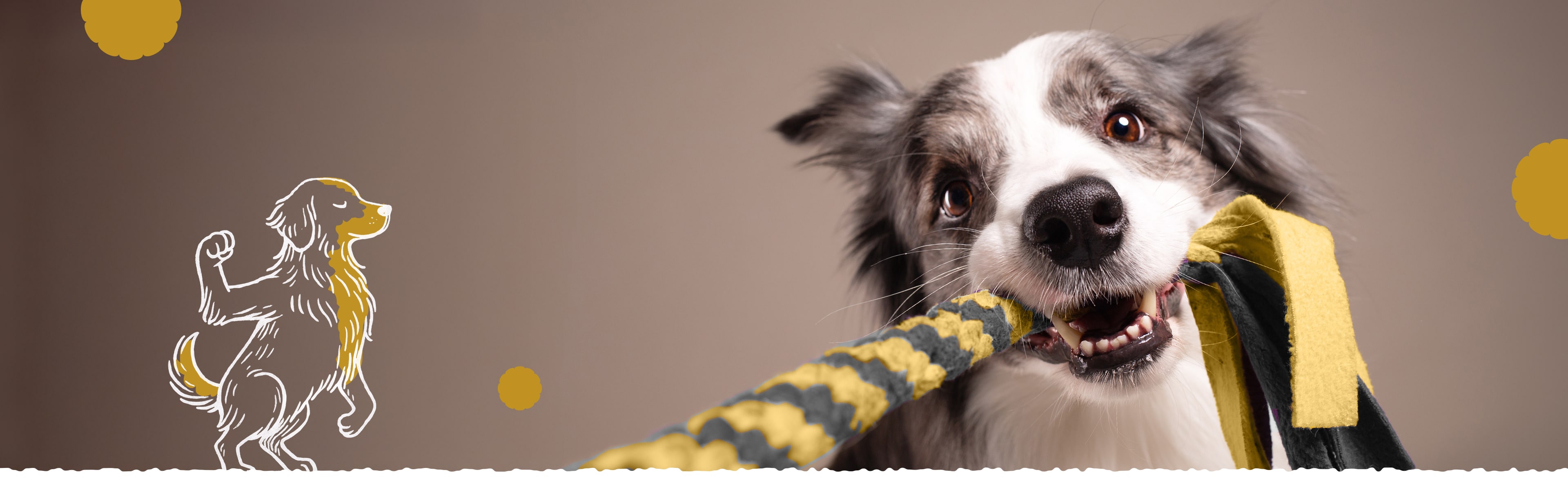 Fuerza y energía pura todos los días