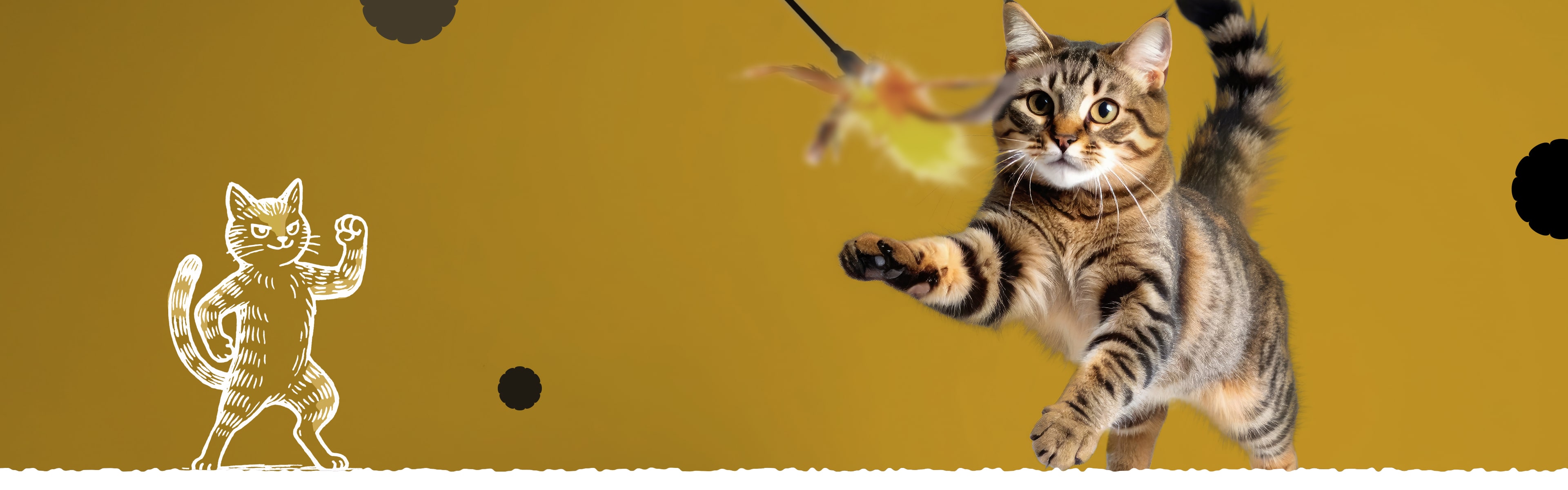 Nutrición con energía pura