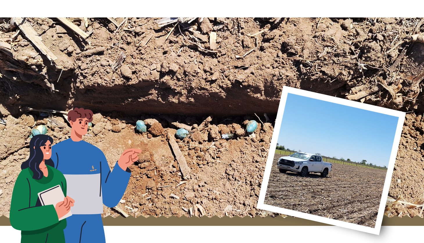 ¡Largamos la siembra de maní!