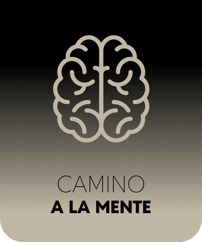  Camino a la mente