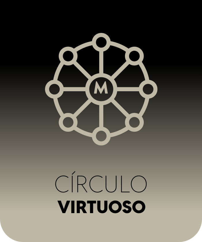  Círculo virtuoso