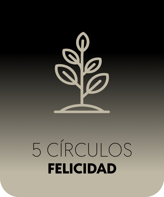 Cinco círculos felicidad