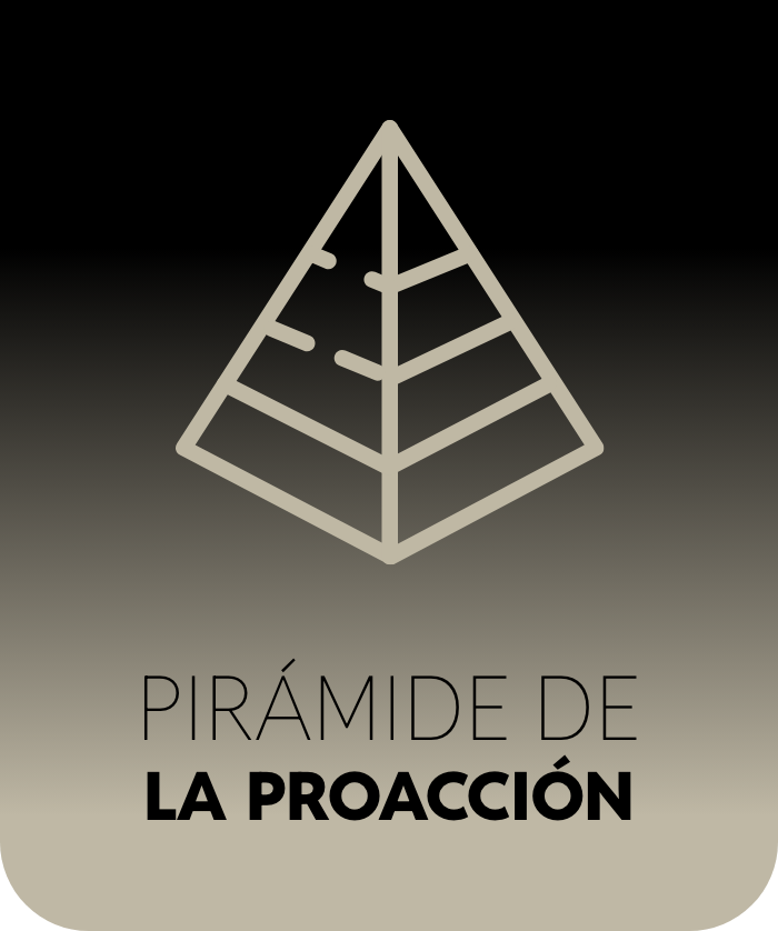  Pirámide de la proacción