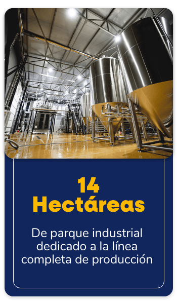 14 Hectáreas