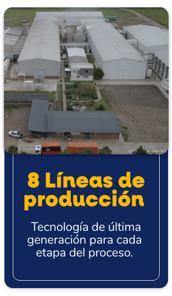 8 Líneas de producción