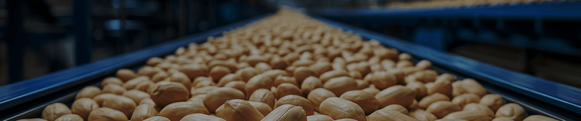 ¿Buscás un socio confiable para escalar tu producción?