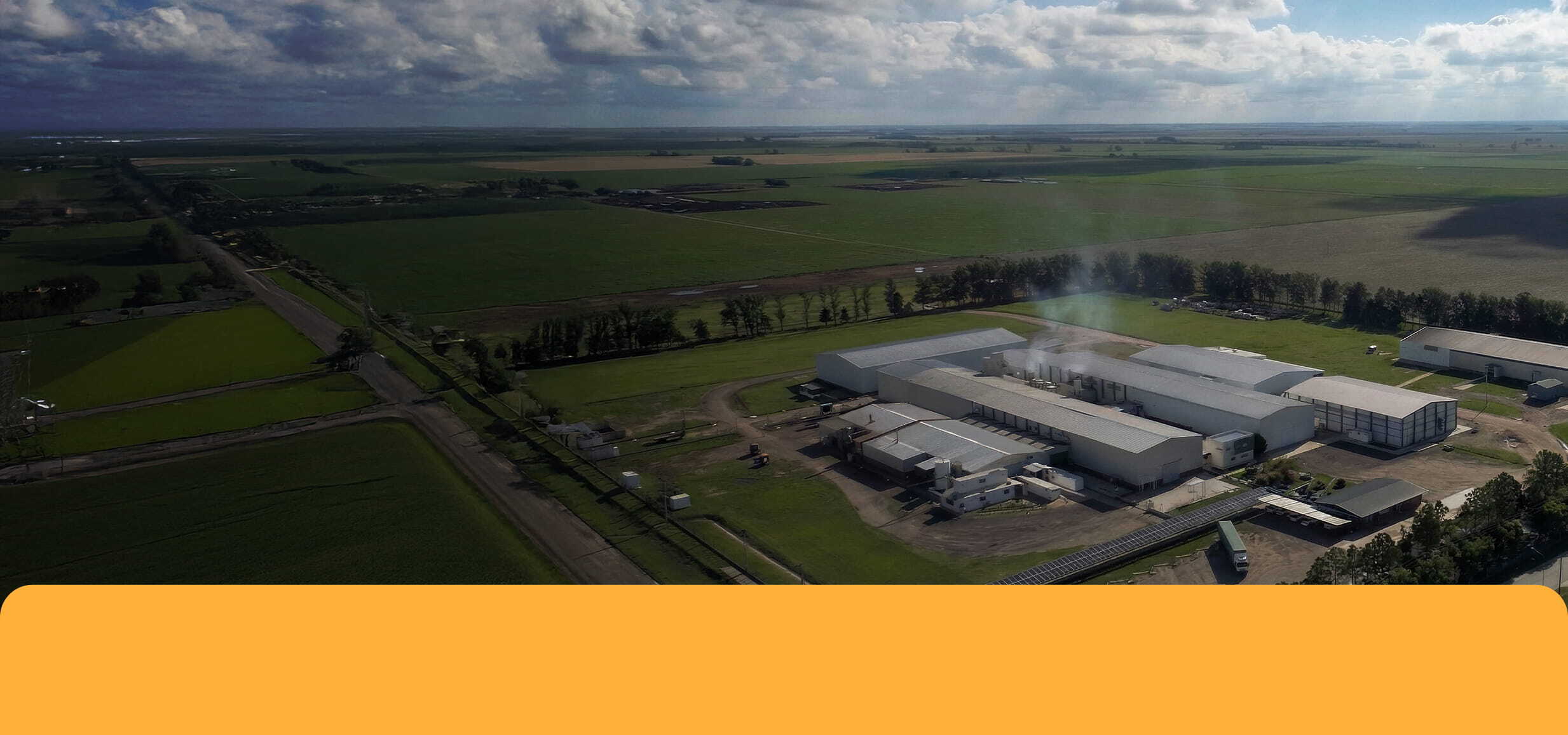 8 Líneas de producción