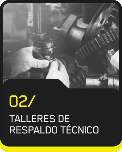 Talleres de respaldo técnico