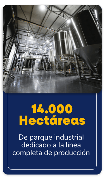14 Hectáreas