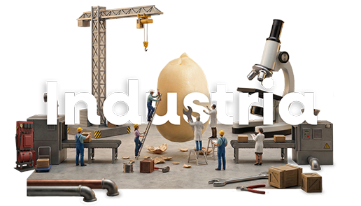  Soluciones integrales a granel